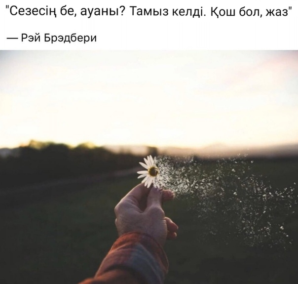Прощай