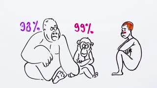 НаучПок Почему у людей нет шерсти — Научпок.mp4