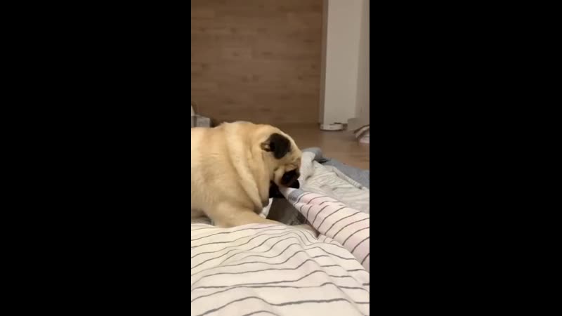 VIDEO 1593680713524.mp4 (720p).mp4