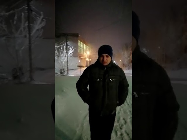 Хищные птицы.Кимры.