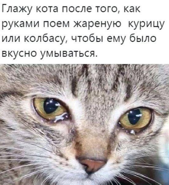 угарные фоточки