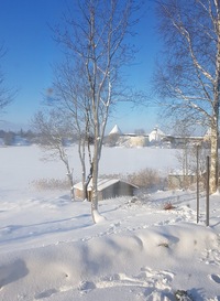 Наталия Фролова