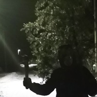 Александр Колбин