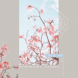 The Album (Remixes)