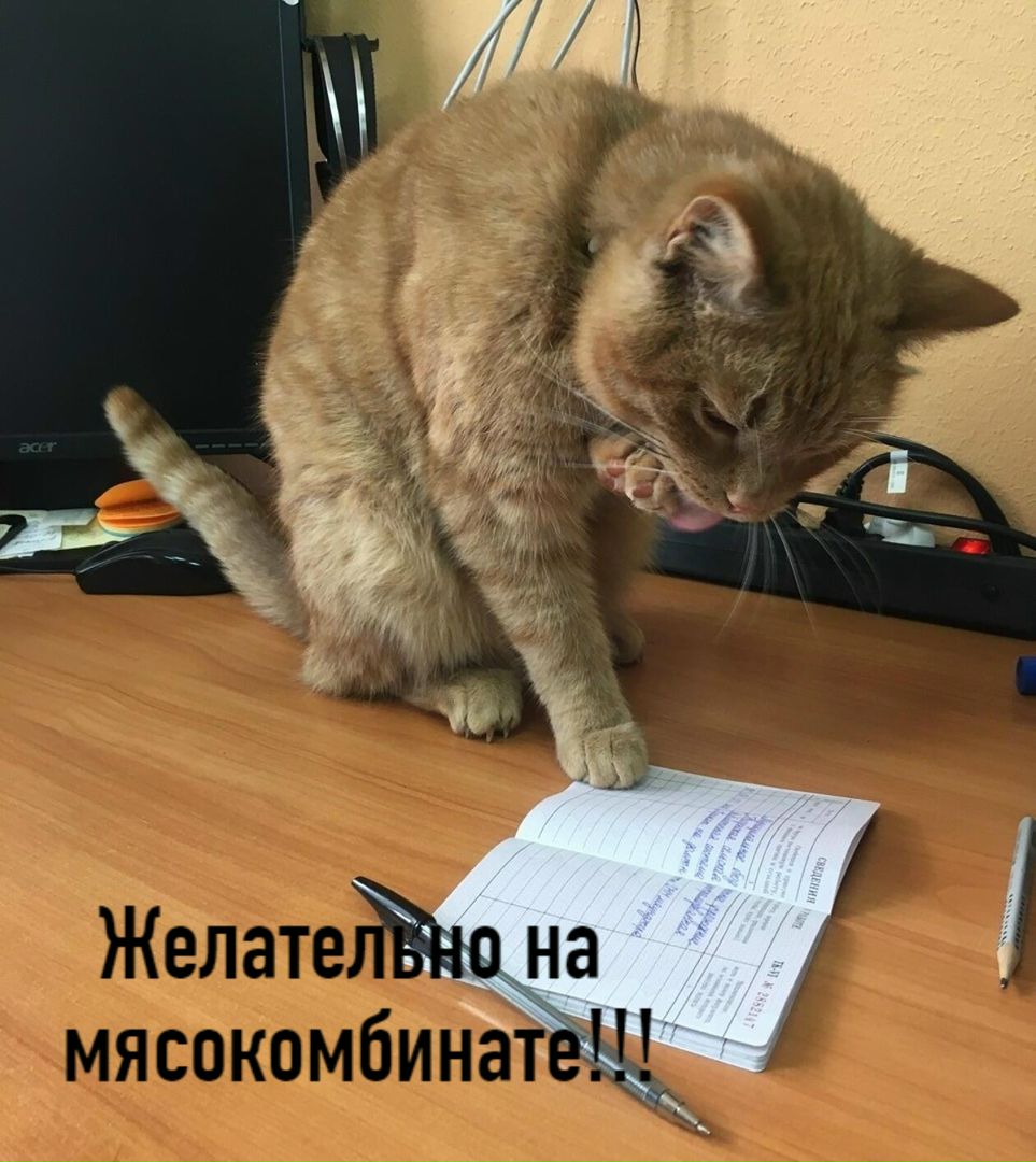 MX2PlH63O7E.jpg
