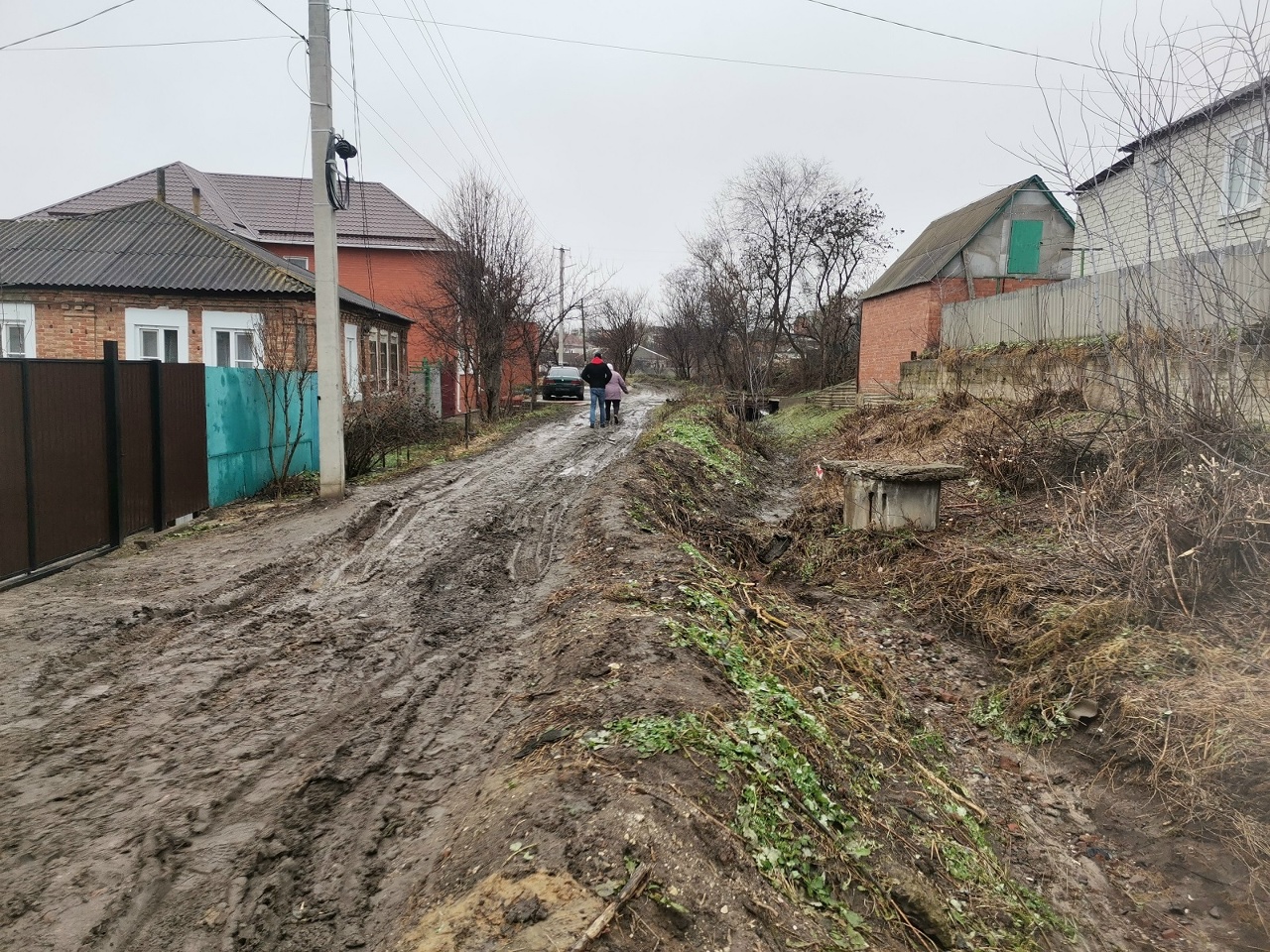 стелла острогожск