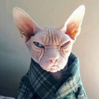Фотография анкеты Андрея Соломонова ВКонтакте